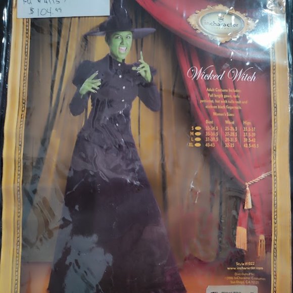 Wicked Witch Costume Adult Dress and Hat